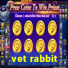 vet rabbit