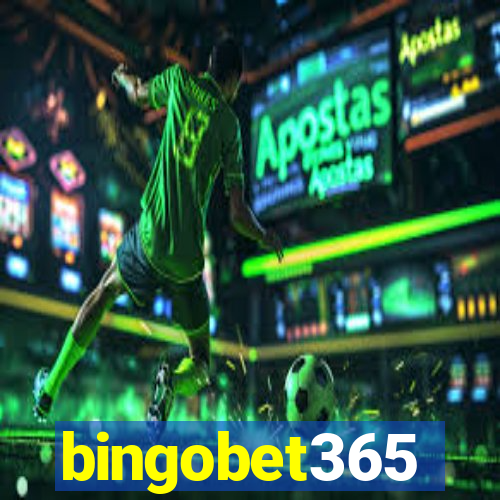 bingobet365